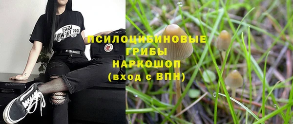 прущие крисы Михайловск