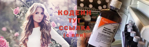 крисы Гусь-Хрустальный