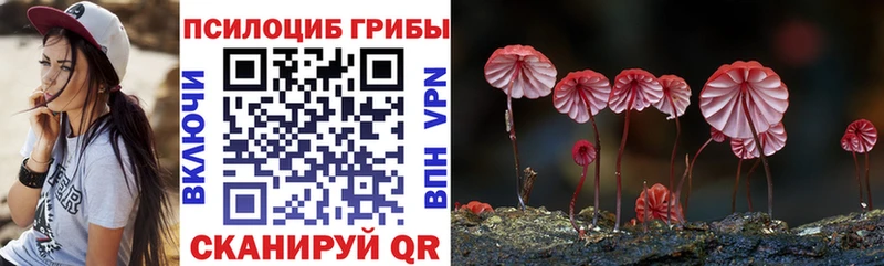 Псилоцибиновые грибы GOLDEN TEACHER МЕГА ссылка Мезень как найти закладки
