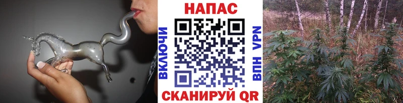 Бошки марихуана Amnesia  Мезень 